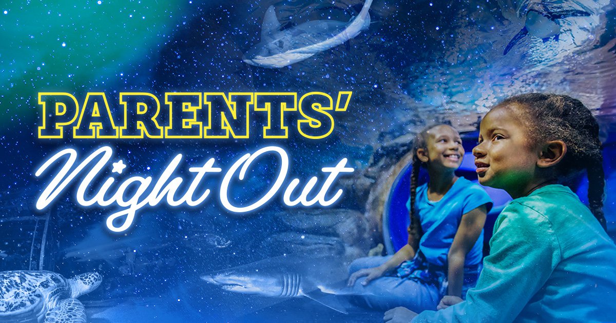 Ripley's Aquarium Parents Night Out Camp