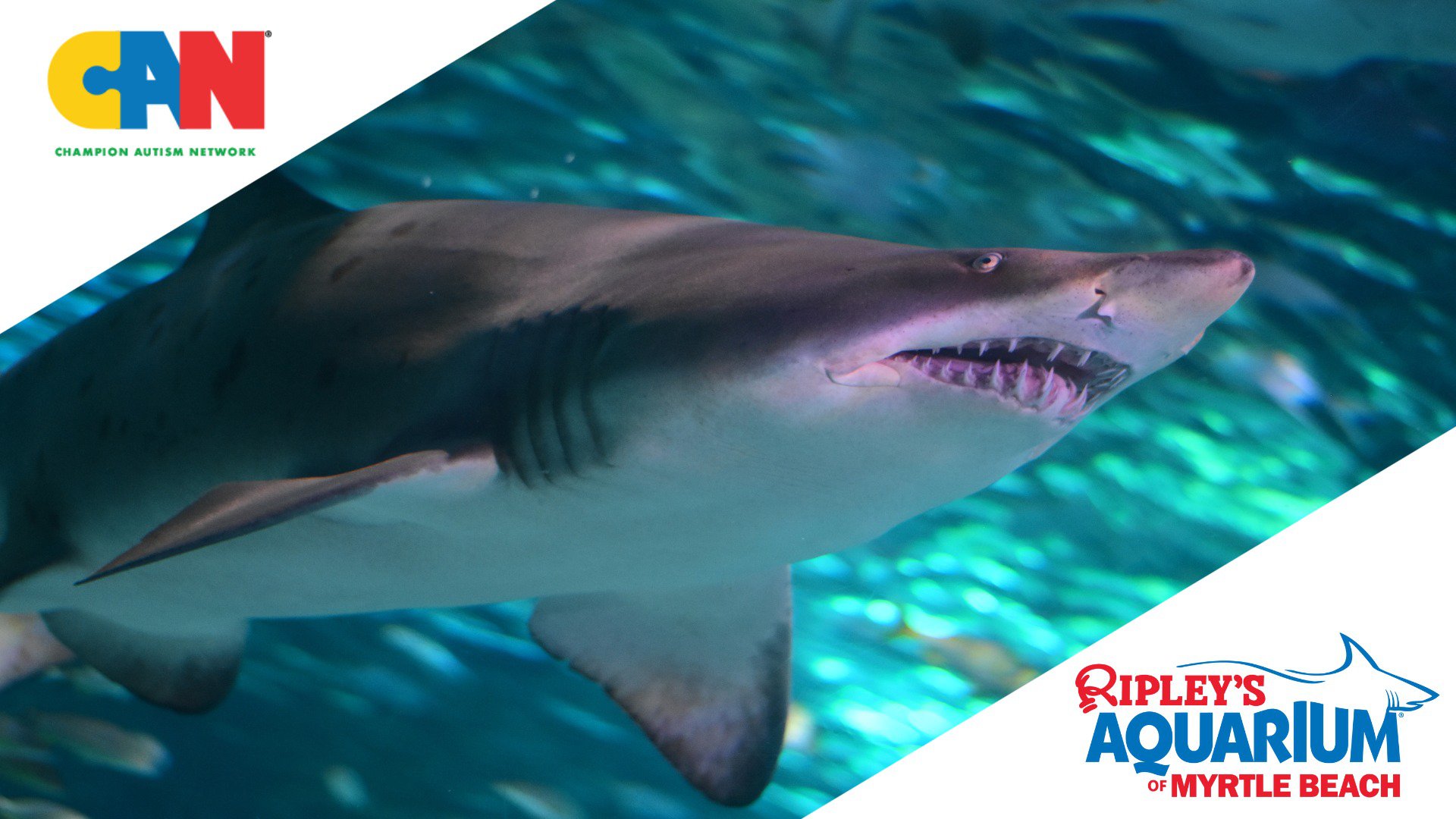 Sensory-Friendly Jump at Big Air