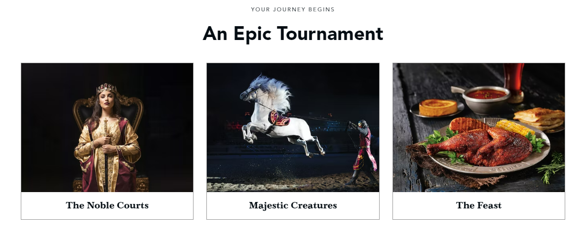 Events https://gardencityrealty.icnd-cdn.com/images/events/Medieval_Times.PNG