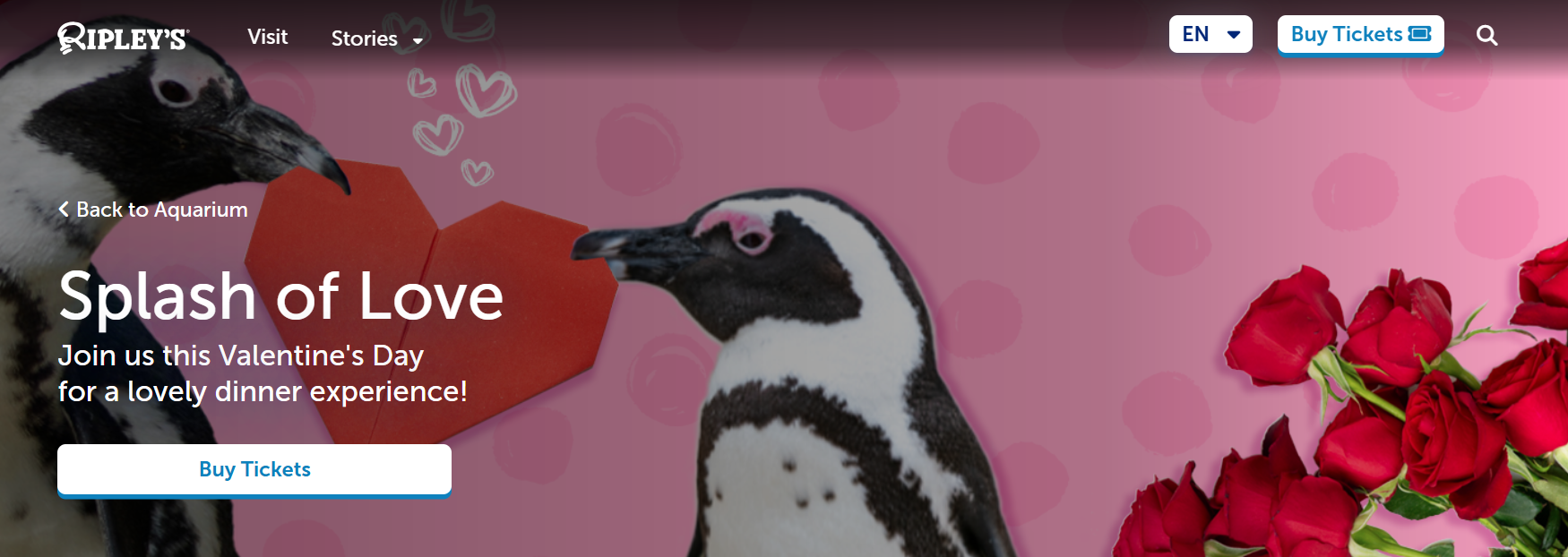 Splash of Love - Ripley's Aquarium Myrtle Beach