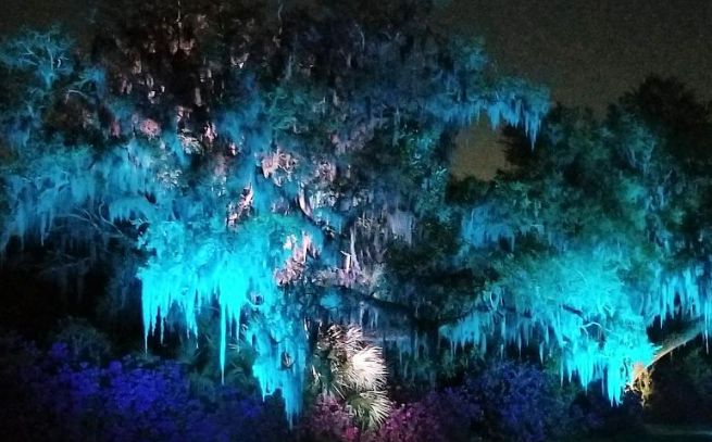 Summer Light: Art by Night at Brookgreen Gardens