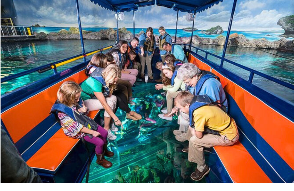 Guest Reward: https://gardencityrealty.icnd-cdn.com/images/guestrewards/Ripley_s_Aquarium_01.png