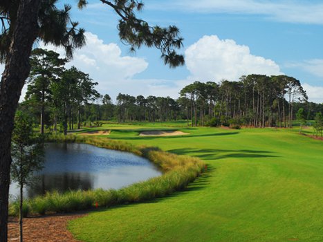 Things To Do https://gardencityrealty.icnd-cdn.com/images/thingstodo/C229D1A6-E7F2-FF0D-1883990A3468AA85PineLakesCountryClub.jpg