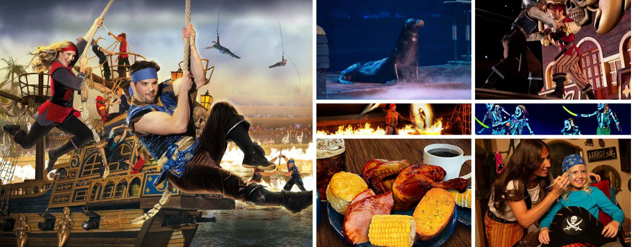 Things To Do https://gardencityrealty.icnd-cdn.com/images/thingstodo/Pirates_Voyage_Dinner_and_Show.png