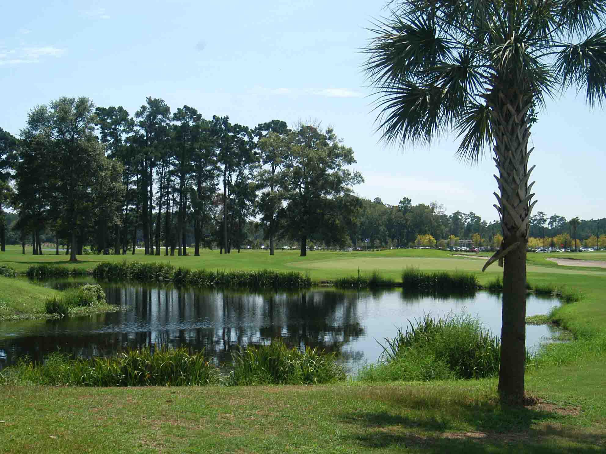 Things To Do https://gardencityrealty.icnd-cdn.com/images/thingstodo/WhisperingPinesGolf.jpg