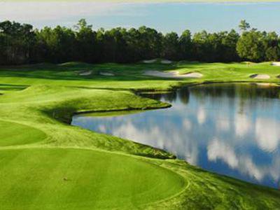 Things To Do https://gardencityrealty.icnd-cdn.com/images/thingstodo/WildWingGolf.jpg