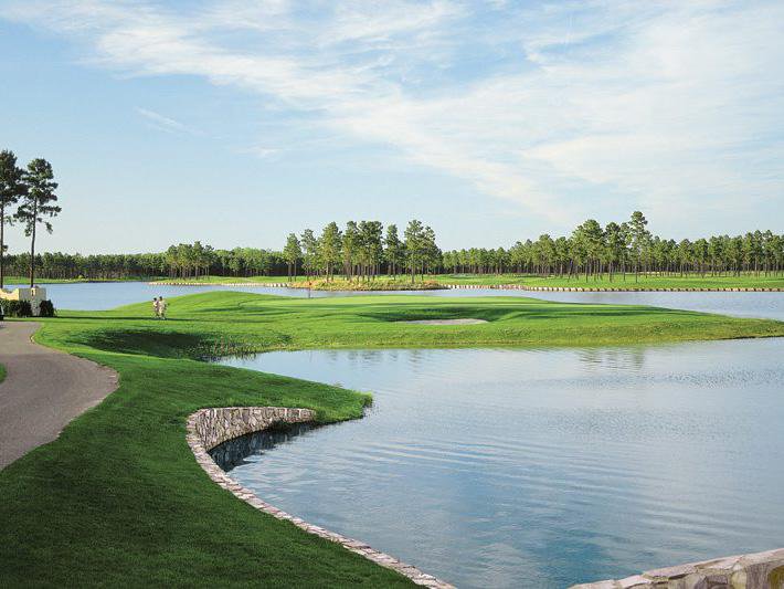 Things To Do https://gardencityrealty.icnd-cdn.com/images/thingstodo/WizardGolf.jpg