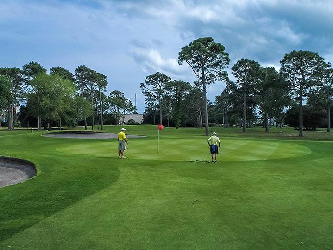 Things To Do https://gardencityrealty.icnd-cdn.com/images/thingstodo/beachwoodgolf.jpg