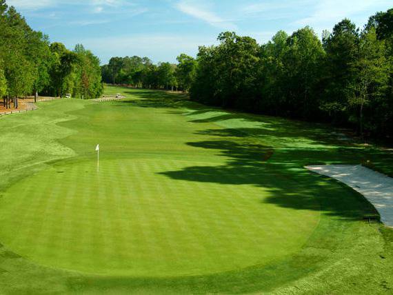 Things To Do https://gardencityrealty.icnd-cdn.com/images/thingstodo/blackmoor.jpg