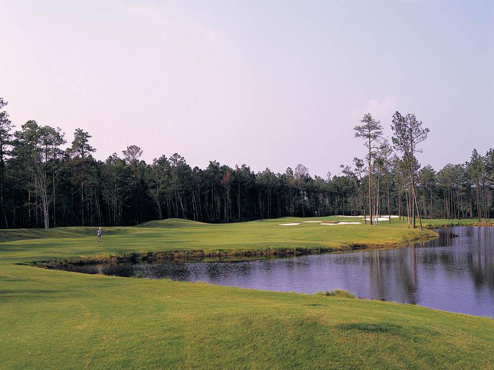 Things To Do https://gardencityrealty.icnd-cdn.com/images/thingstodo/indigocreekgolf.jpg