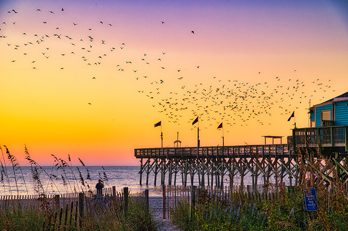 Garden City Beach Winter Rentals view of beach with birds